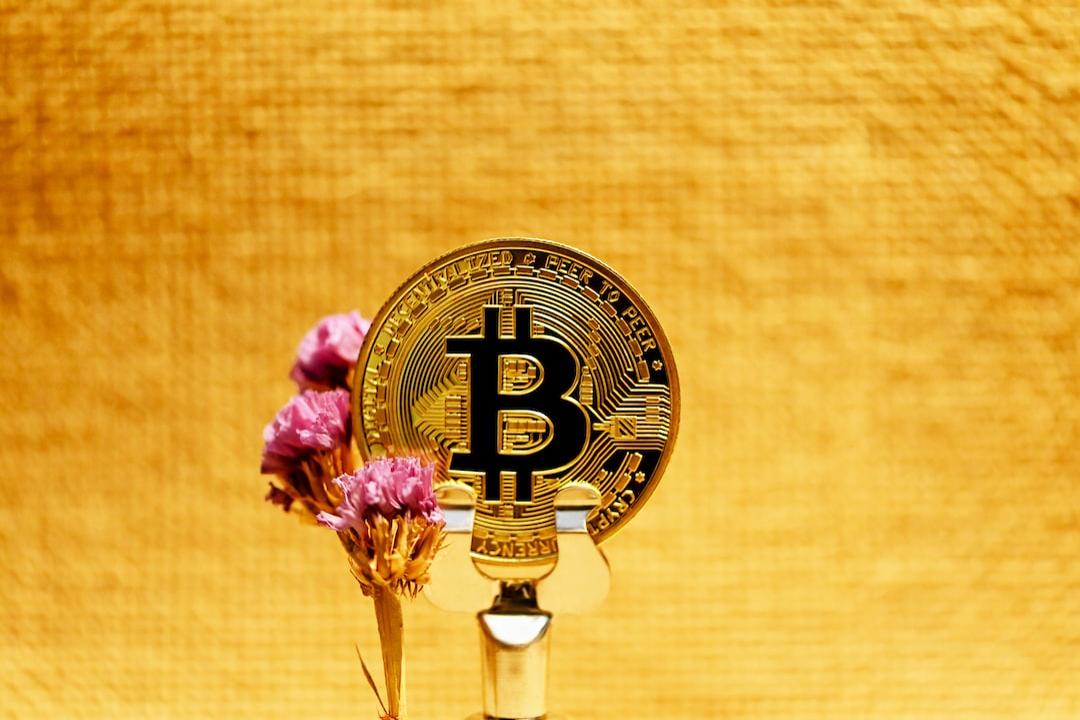 五种值得关注的埃隆·马斯克新加密货币